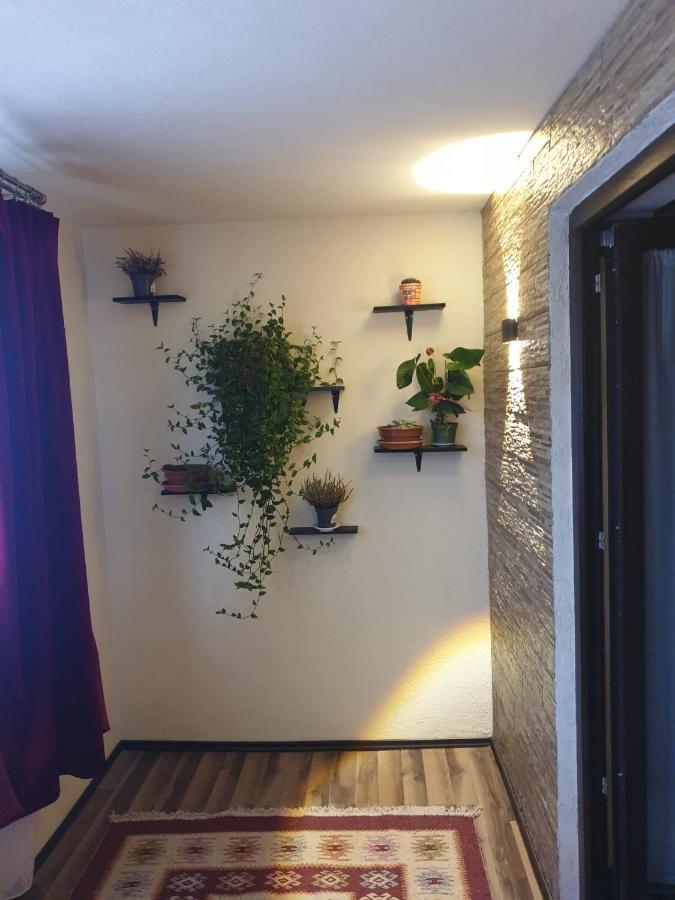 Apartamento Dumi'S House Borşa Exterior foto