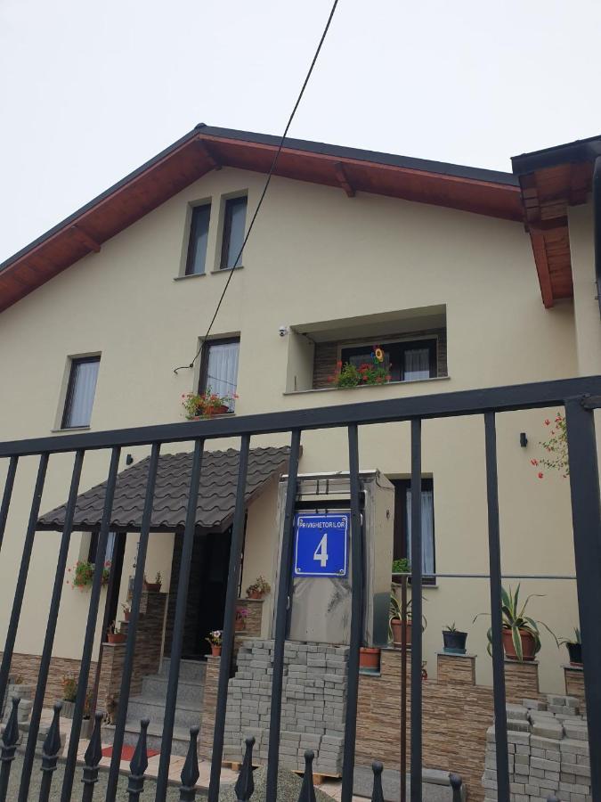 Apartamento Dumi'S House Borşa Exterior foto